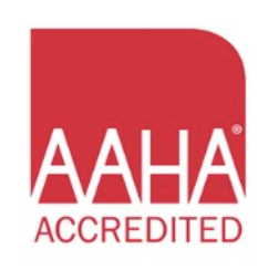 AAHA Accredited Animal Hospital with Great Veterinarians