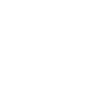 Cat and dog boarding | grooming