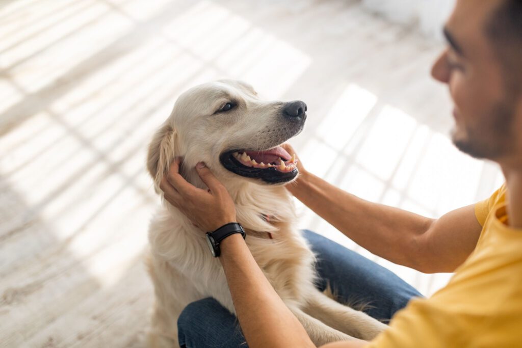 happy pets